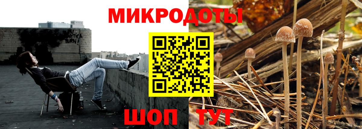Калач-на-Дону  Галлюциногенные грибы Cubensis  Вход с VPN 